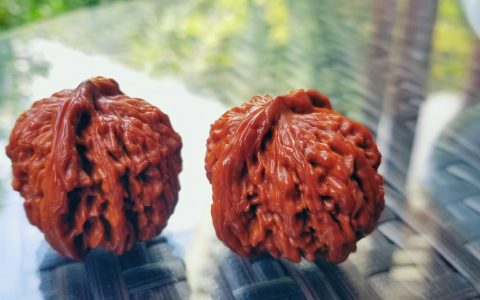 话说盘核桃，从一开始，迷恋上毕业级作品